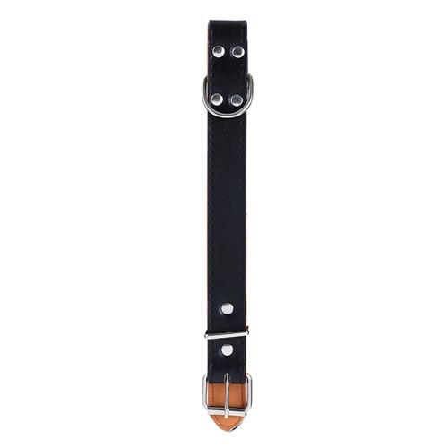 Paws & Claws Premium Original Dog/Pet 44-55x2.5cm Collar Padded L - Assort
