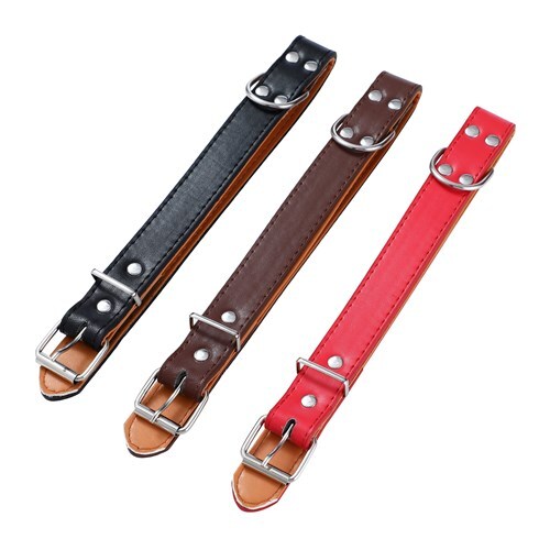 Paws & Claws Premium Original Dog/Pet 44-55x2.5cm Collar Padded L - Assort