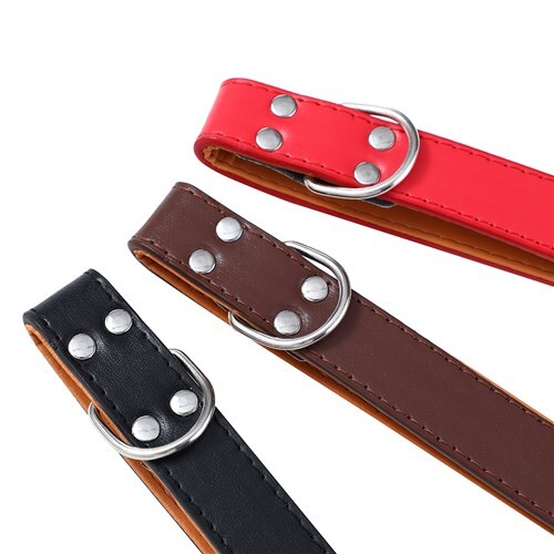 Paws & Claws Premium Original Dog/Pet 44-55x2.5cm Collar Padded L - Assort