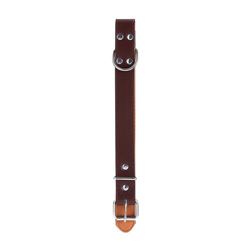 Paws & Claws Premium Original Dog/Pet 44-55x2.5cm Collar Padded L - Assort