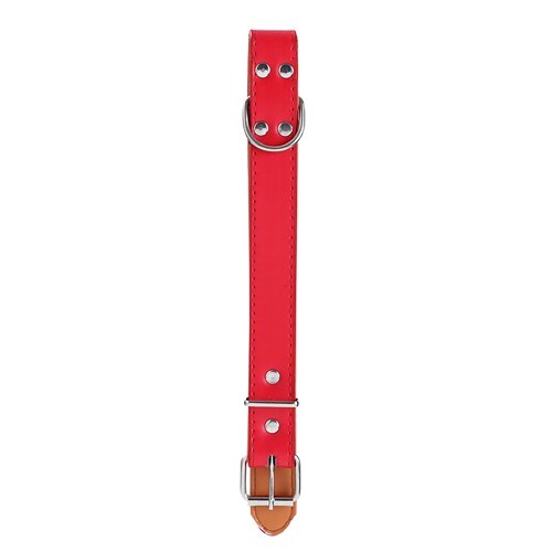 Paws & Claws Premium Original Dog/Pet 44-55x2.5cm Collar Padded L - Assort