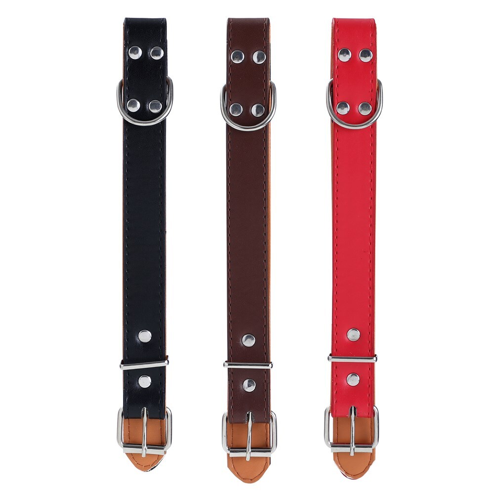 Paws & Claws Premium Original Dog/Pet 44-55x2.5cm Collar Padded L - Assort