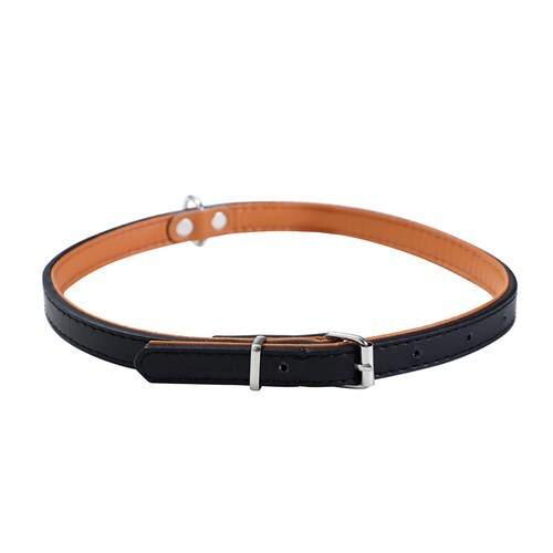 Paws & Claws Premium Original Dog/Pet 28-35x1.5cm Collar Padded S - Assort