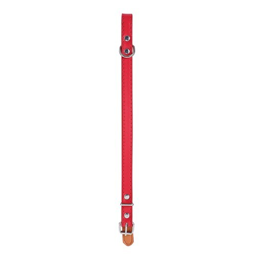 Paws & Claws Premium Original Dog/Pet 28-35x1.5cm Collar Padded S - Assort