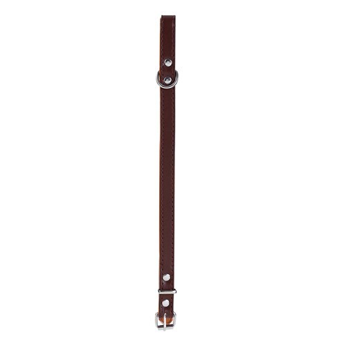 Paws & Claws Premium Original Dog/Pet 28-35x1.5cm Collar Padded S - Assort