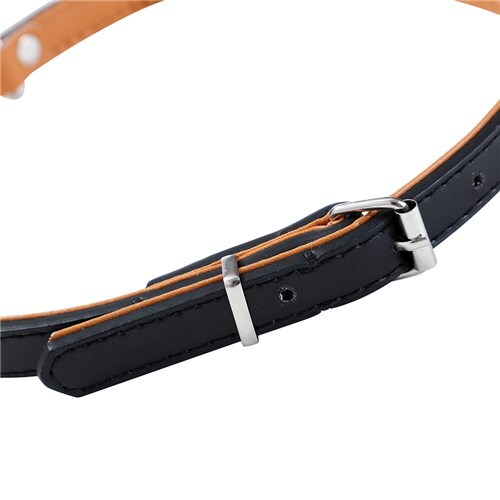 Paws & Claws Premium Original Dog/Pet 28-35x1.5cm Collar Padded S - Assort