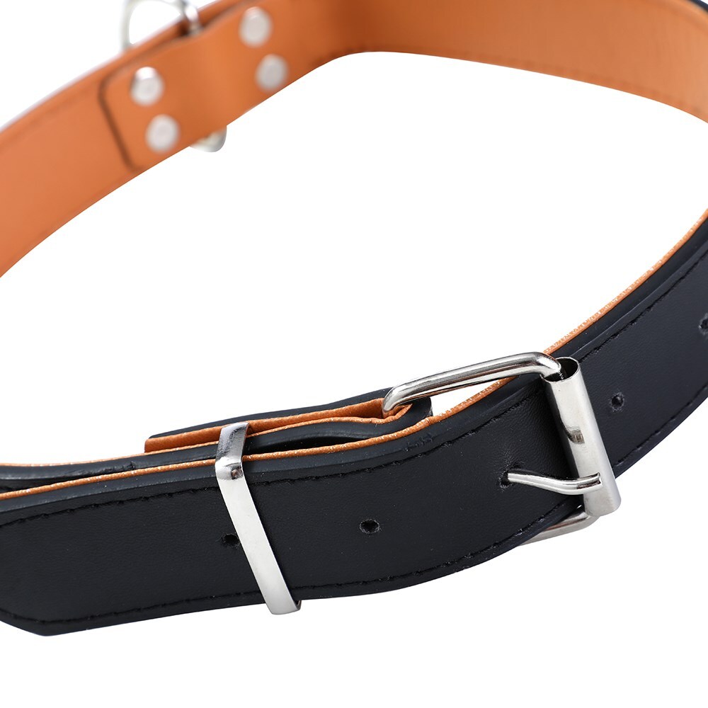 Paws & Claws Premium Original Dog/Pet 52-65x3cm Collar Padded XL - Assort