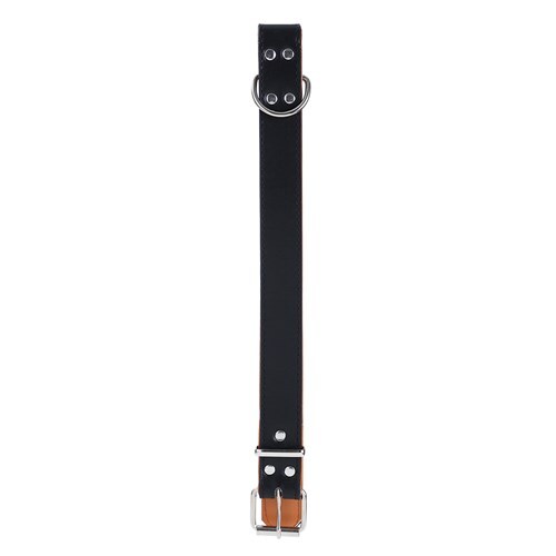 Paws & Claws Premium Original Dog/Pet 52-65x3cm Collar Padded XL - Assort