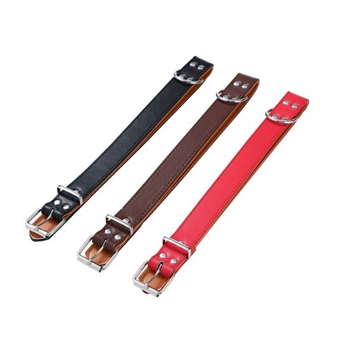 Paws & Claws Premium Original Dog/Pet 52-65x3cm Collar Padded XL - Assort