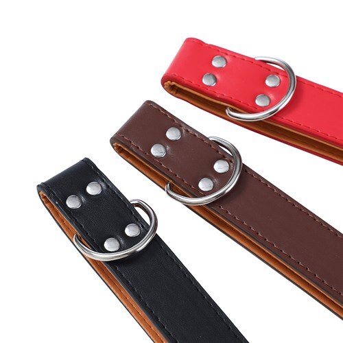 Paws & Claws Premium Original Dog/Pet 52-65x3cm Collar Padded XL - Assort