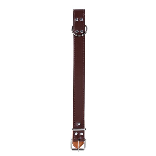 Paws & Claws Premium Original Dog/Pet 52-65x3cm Collar Padded XL - Assort