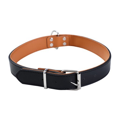 Paws & Claws Premium Original Dog/Pet 52-65x3cm Collar Padded XL - Assort