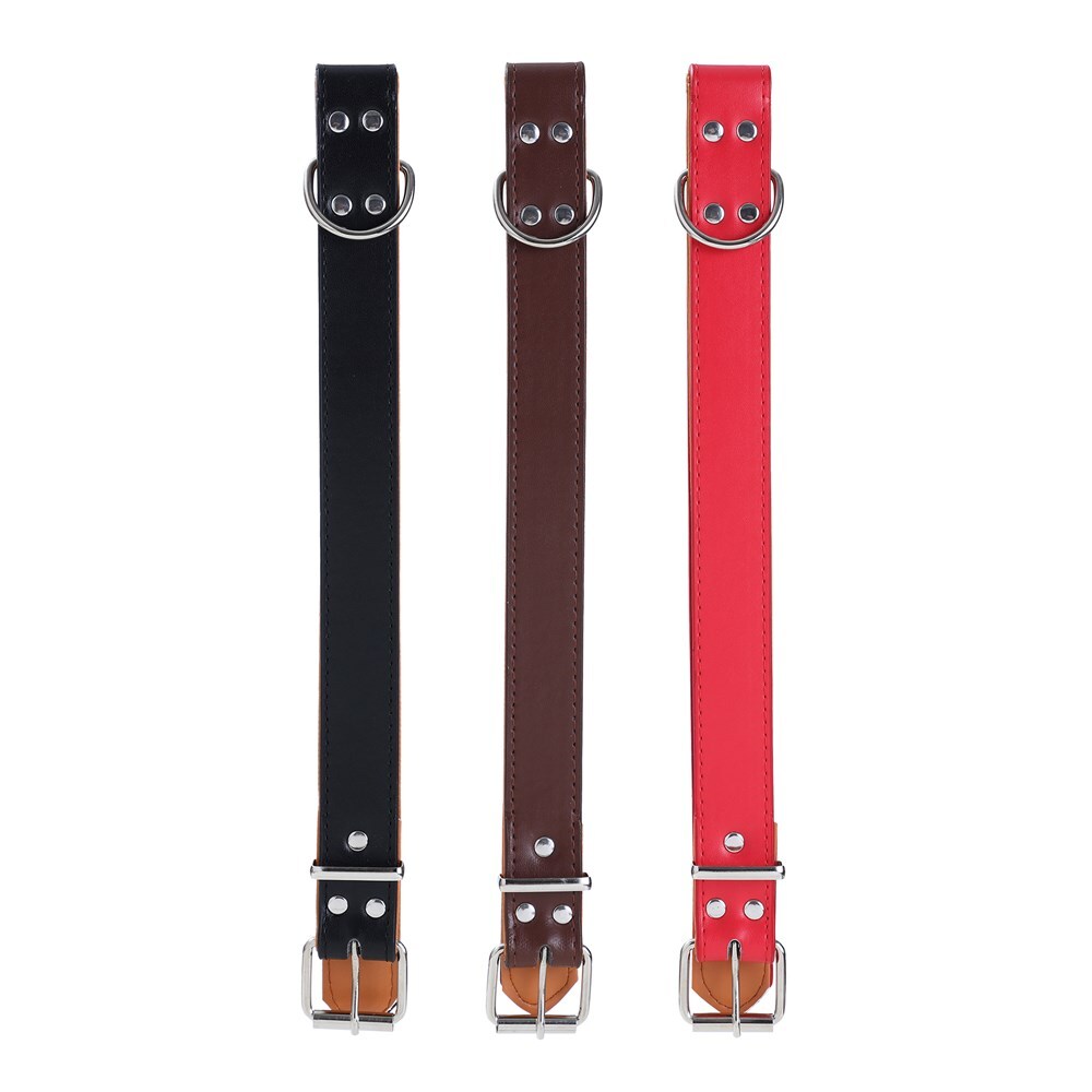 Paws & Claws Premium Original Dog/Pet 52-65x3cm Collar Padded XL - Assort