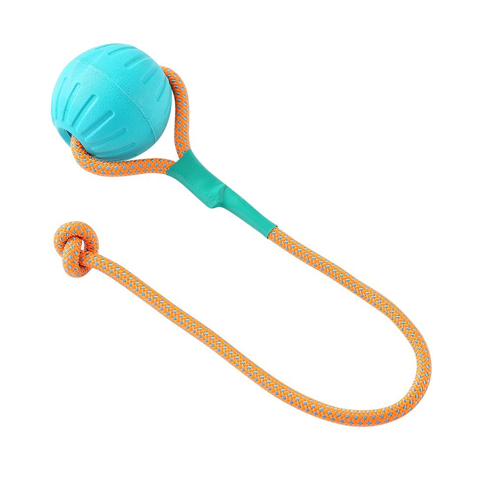 12069-paws-and-claws-6cm-fetch-n-play-ball-rope-tugger-dog-pet-toy-aqua