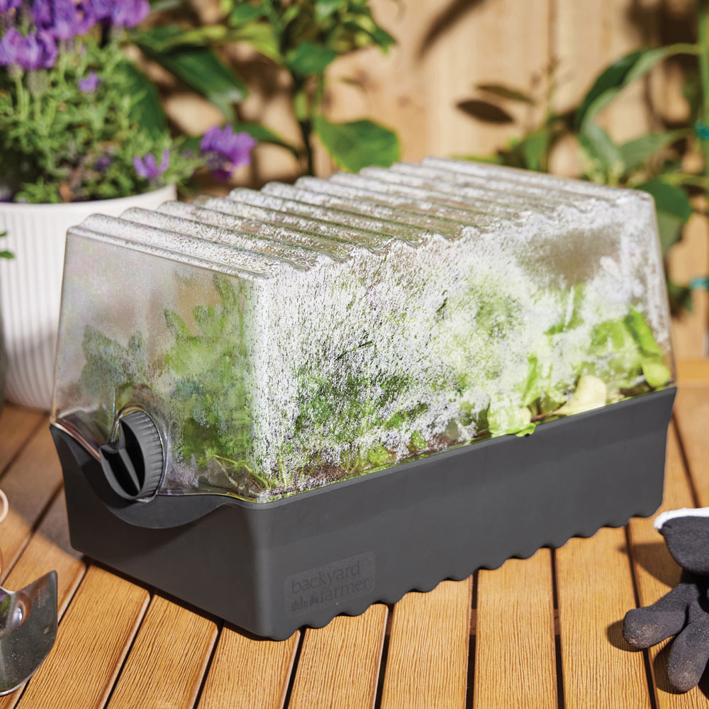 10160431-backyard-farmer-flori-backyard-seed-propagation-kit-grey