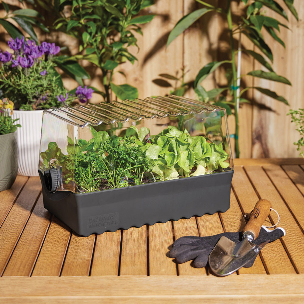 10160431-backyard-farmer-flori-backyard-seed-propagation-kit-grey