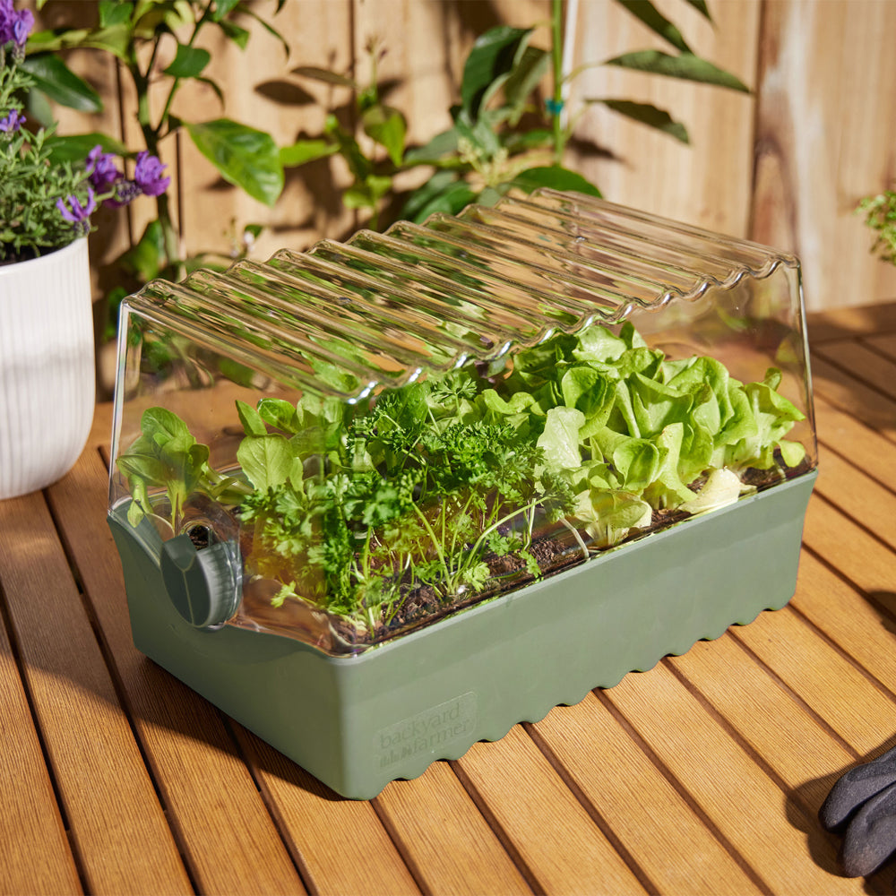 10160516-backyard-farmer-flori-backyard-seed-propagation-kit-green