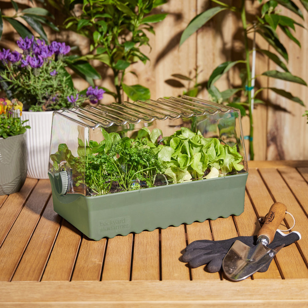 10160516-backyard-farmer-flori-backyard-seed-propagation-kit-green