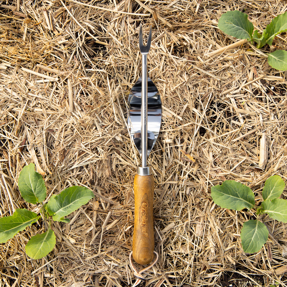 654787-cyclone-hand-weeder-hand-stainless-steel-home-garden-maintenance-care