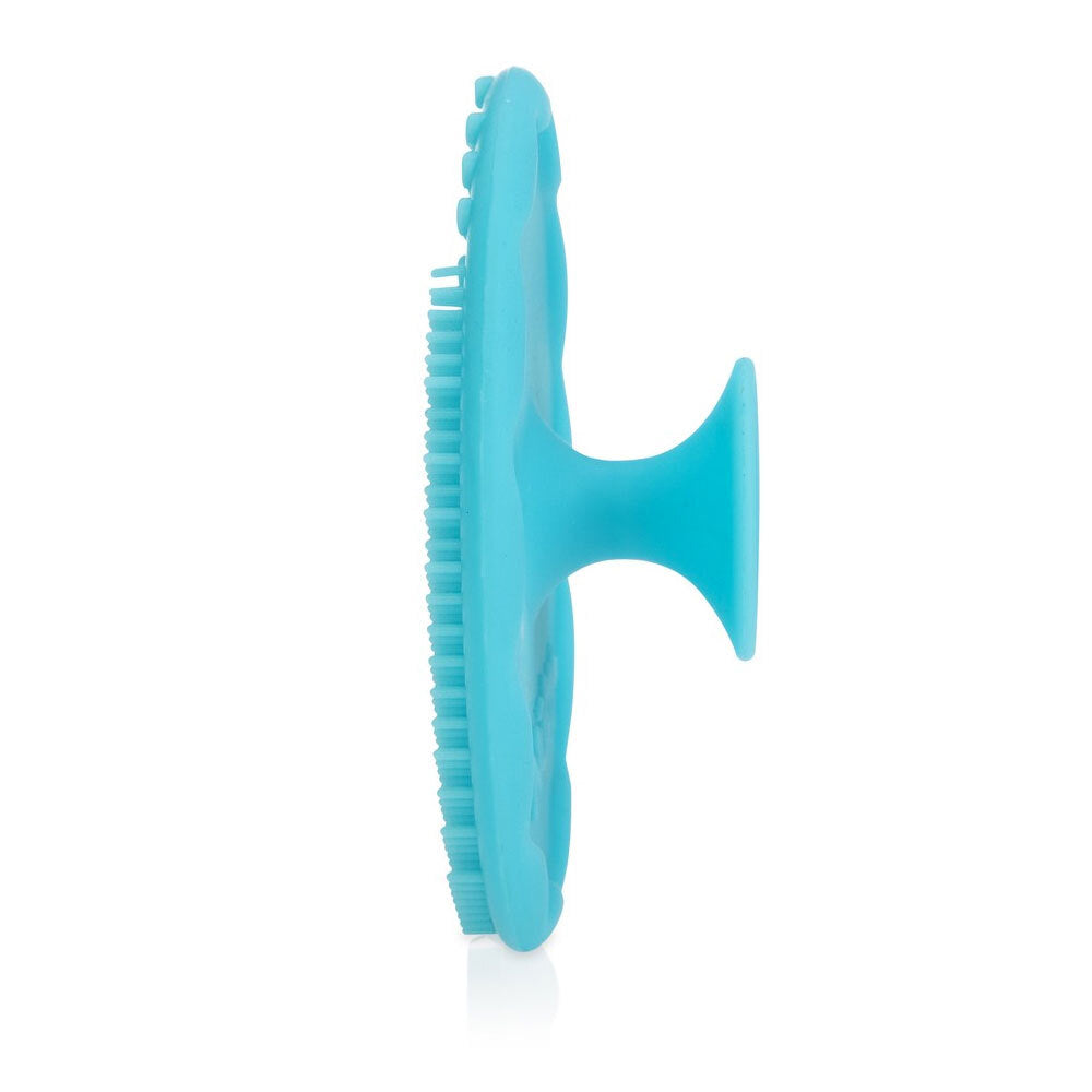 7006277-nuby-scrubbies-silicone-bath-time-body-brush-assorted