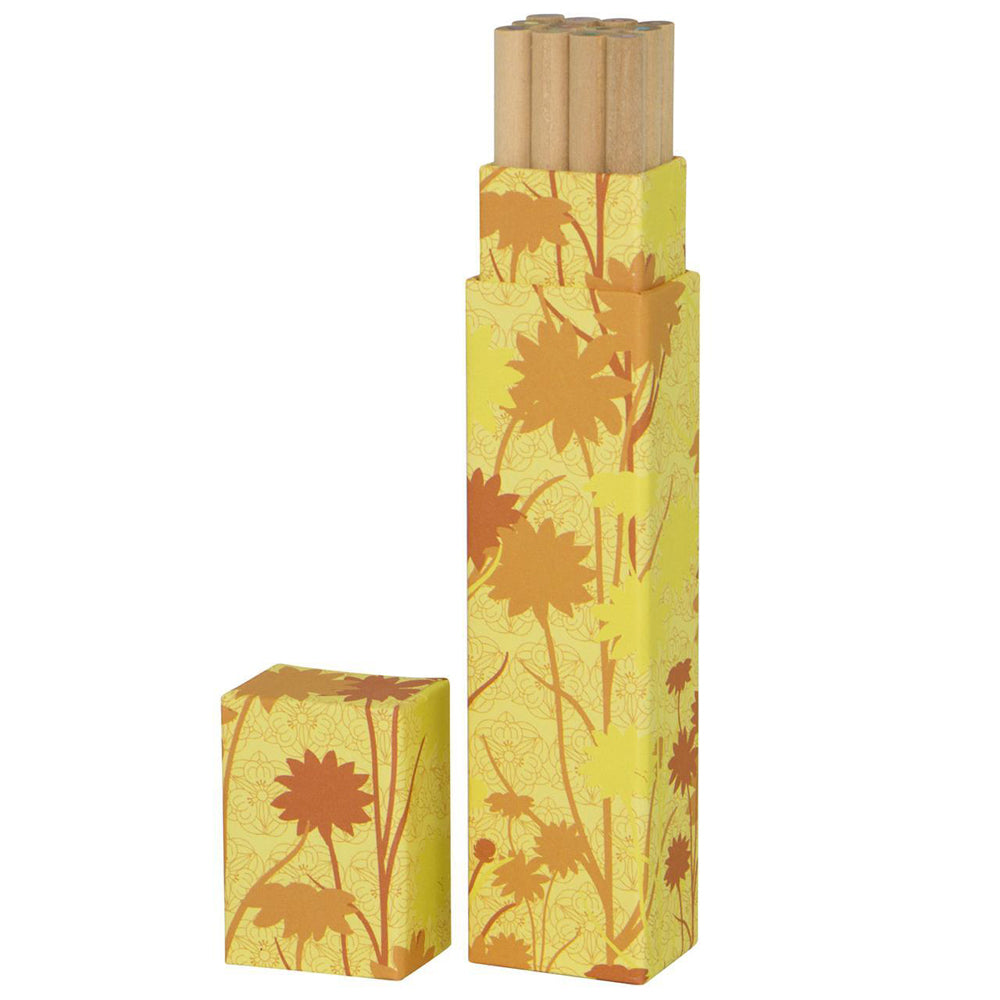 109294-12pc-lantern-studios-coloured-pencil-w-cannister-set-sunflowers