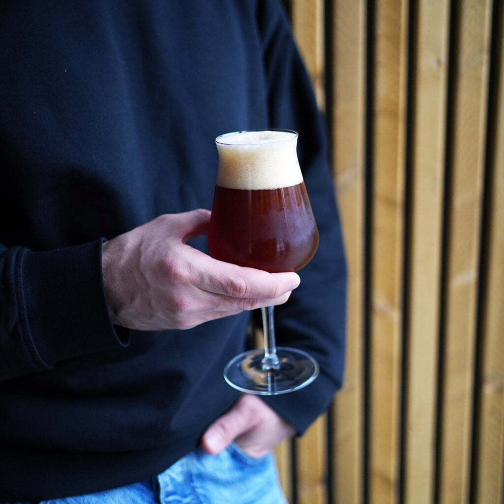 6511808-2pc-luigi-bormioli-birrateque-tester-420ml-beer-glasses-set