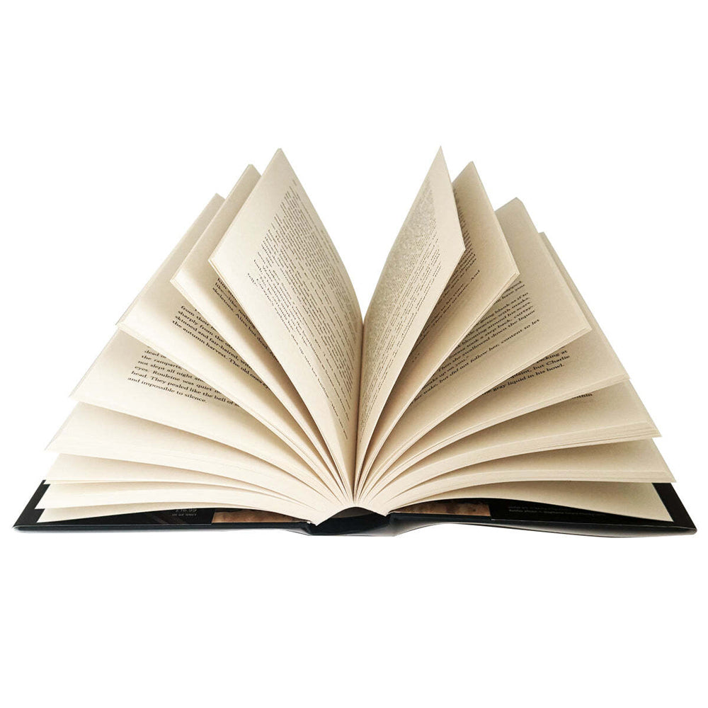 2pc Promotional Victoria Aveyard Book Collection Set 14Y+