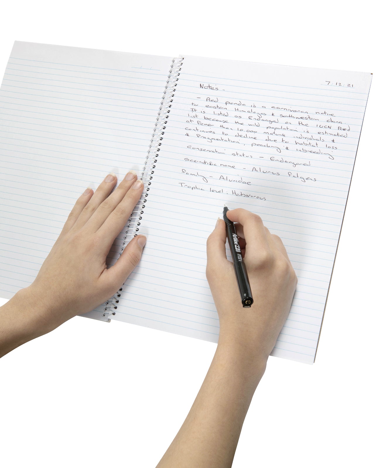 56058-10pc-spirax-595-spiral-writing-notebook-a4-stationery-120-pages-yellow