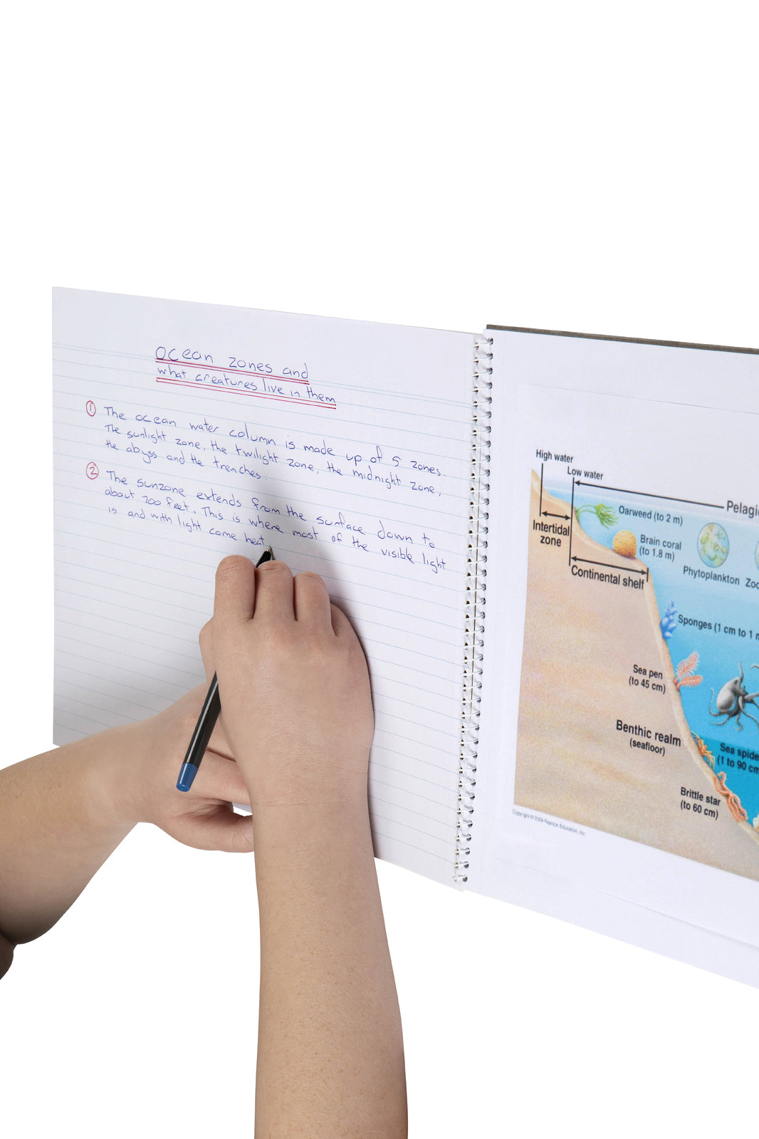 56060-10pc-spirax-581-project-book-school-stationery-25x36cm-20-pages-yellow