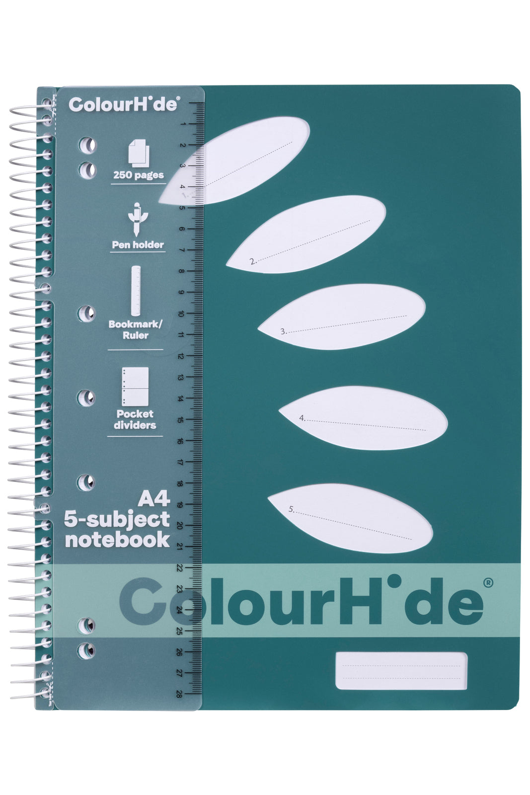 1719607m-5pc-colourhide-5-subject-a4-notebook-250-pages-teal-green