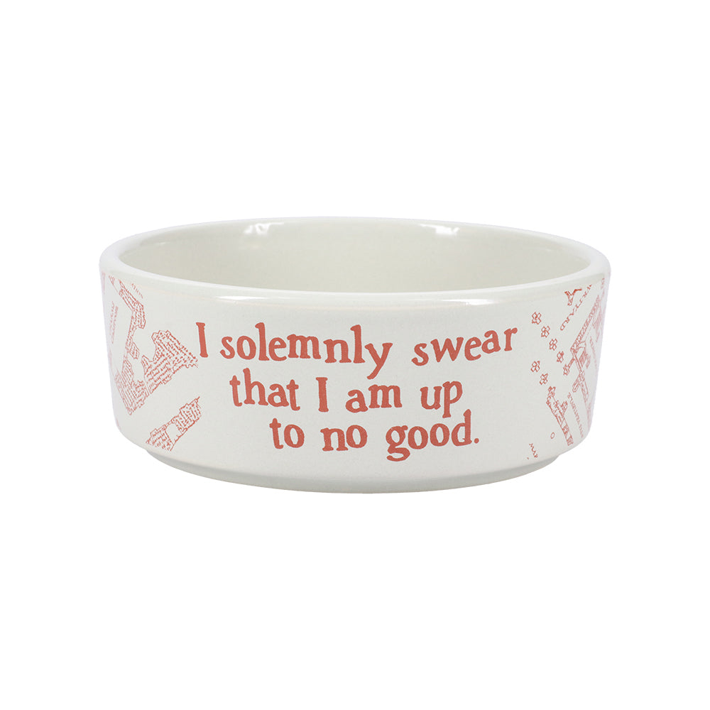 5055964795665-harry-potter-13-5cm-marauders-map-dog-feeding-bowl