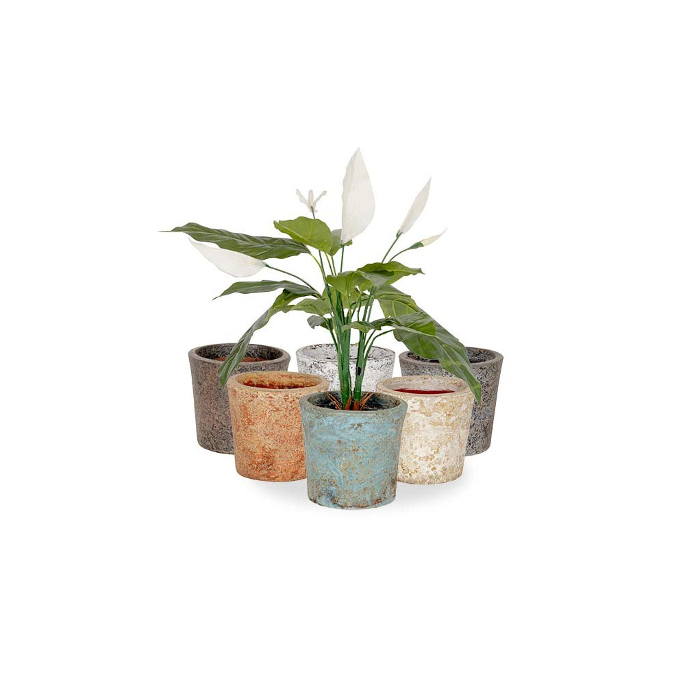 26934-6pc-terracotta-17cm-pot-plant-flower-container-aged-assorted
