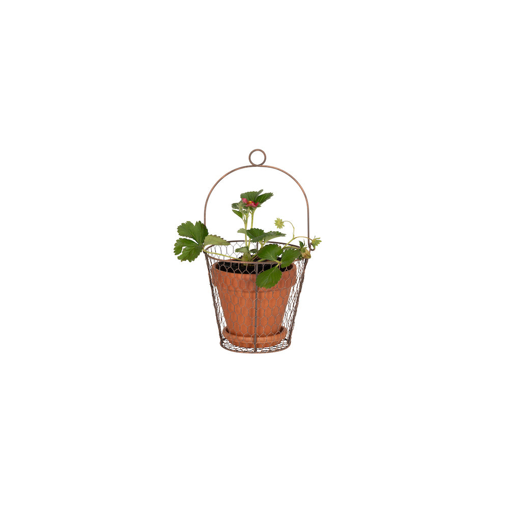 26835-wire-pot-cover-20cm-plant-flower-hanging-holder-w-handle