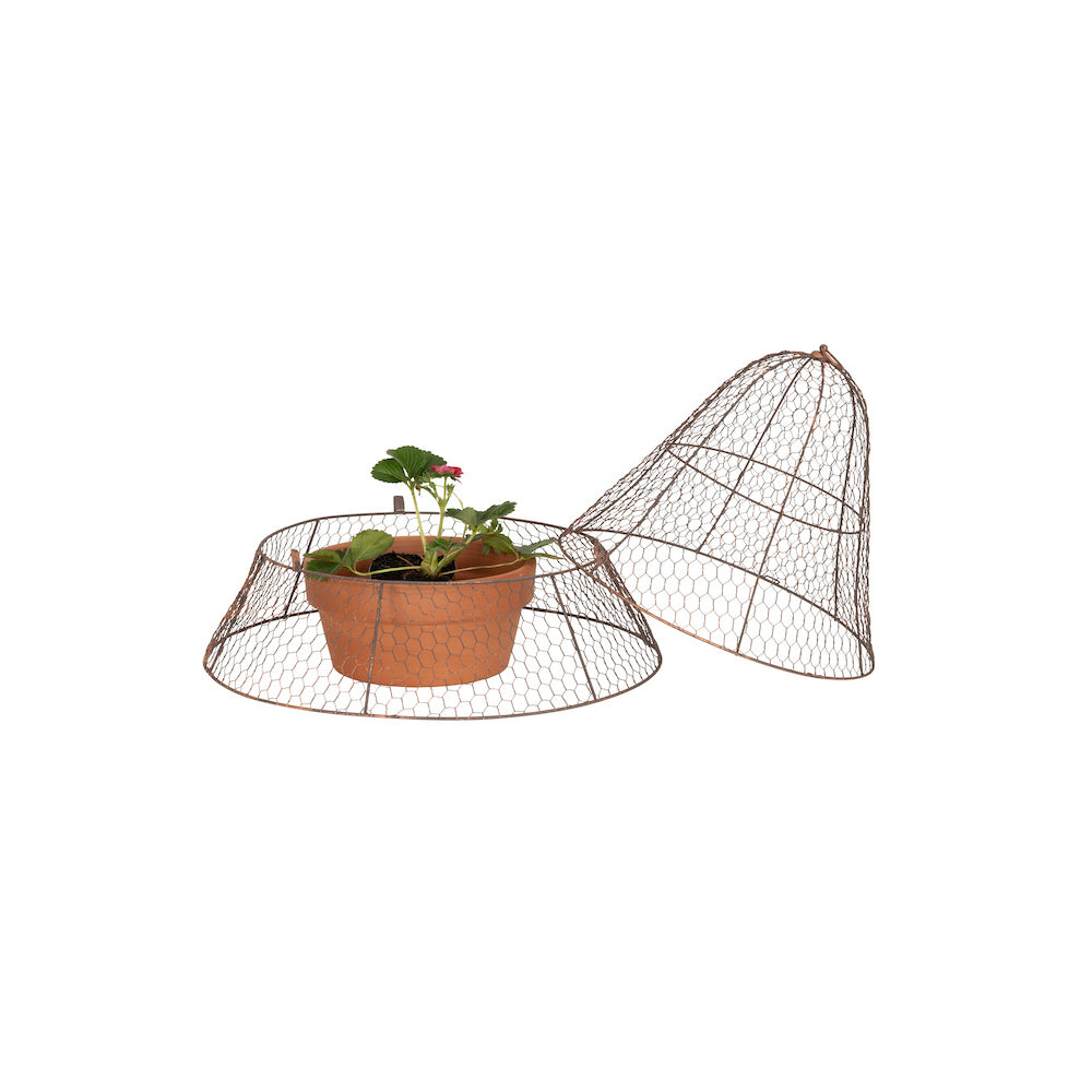 26859-2pc-cloche-55cm-dome-plant-vegetable-cover-protector-set-copper