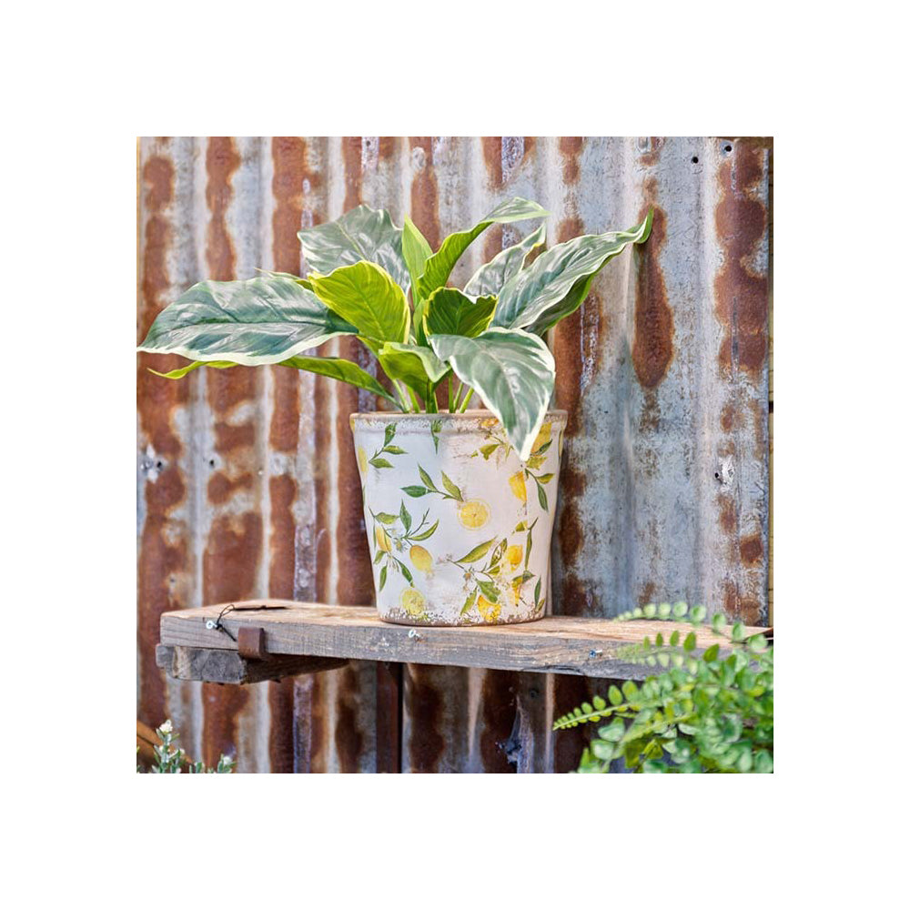 27030-3pc-ceramic-tall-pot-home-garden-plant-container-lemon