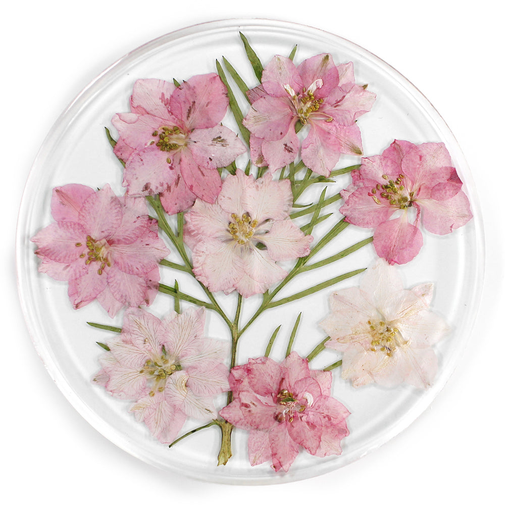 15001-leni-handcrafted-resin-coaster-real-flower-larkspur-pink