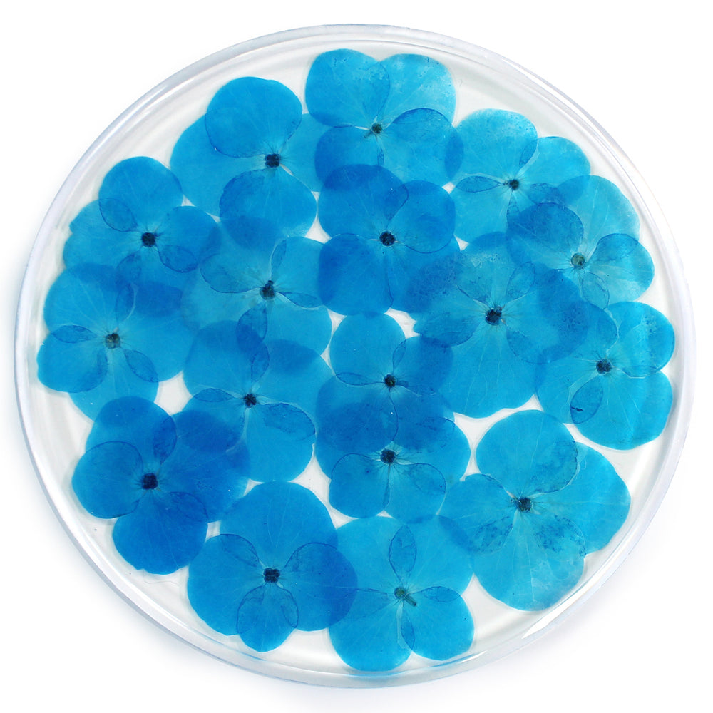 15002-leni-handcrafted-resin-coaster-real-flower-hydrangea-blue