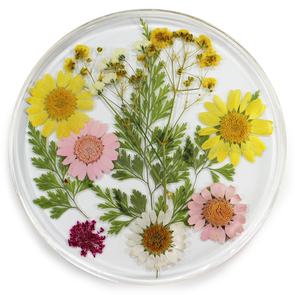 15003-leni-handcrafted-resin-coaster-real-flower-daisy-meadow