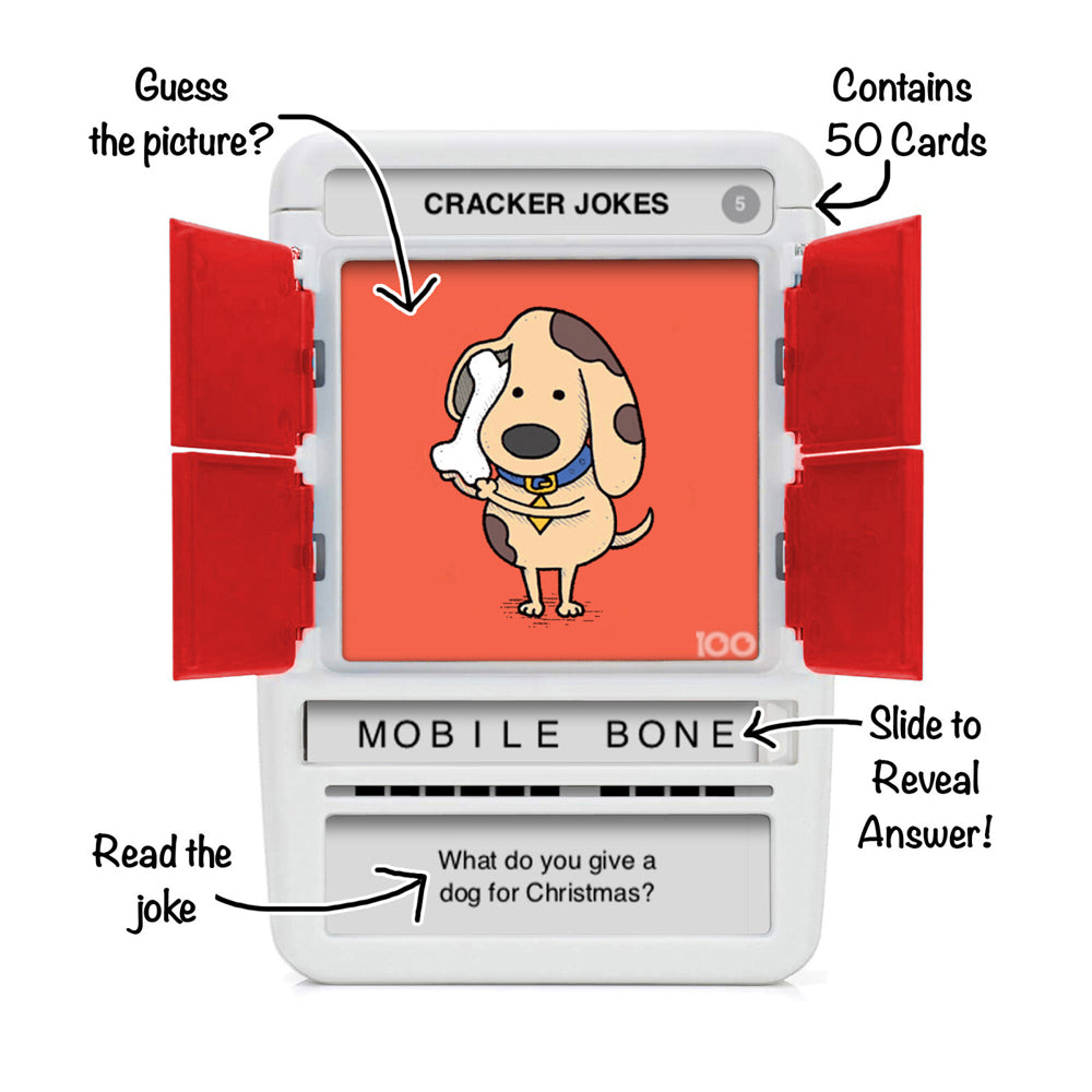 Poptacular 100 Pics Quizz Christmas Jokes Flash Card Game Set 6y+