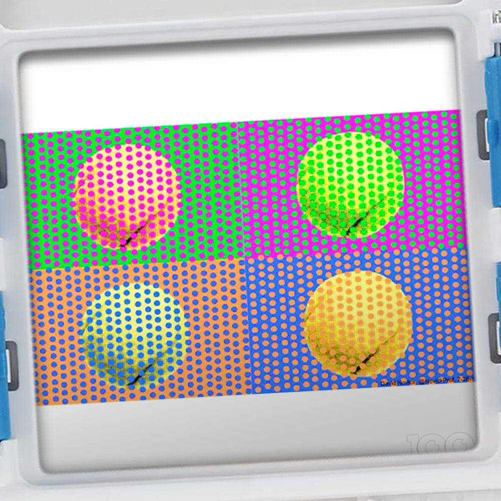 Poptacular 100 Pics Quizz Optical Illusions Flash Card Game Set 6y+