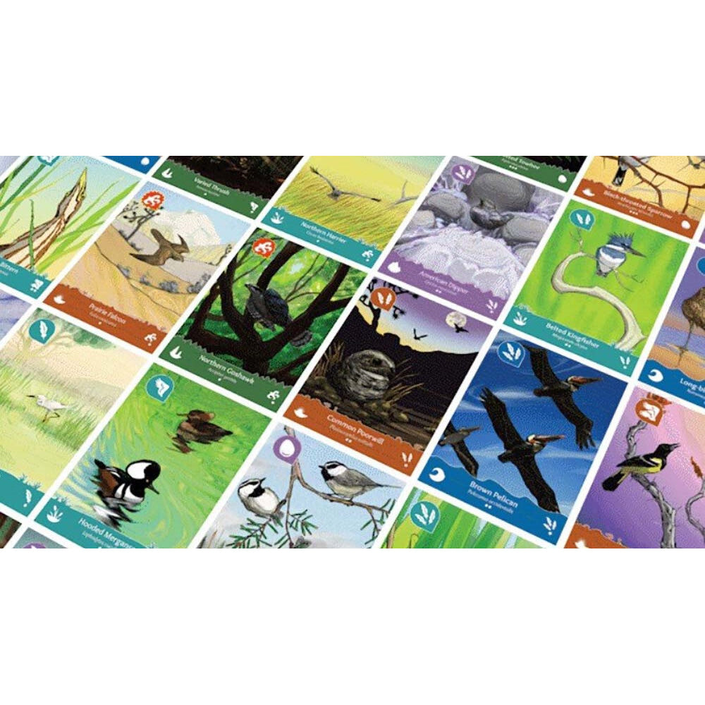 108395-snowbright-studio-birds-of-a-feather-western-north-america-board-game-8y