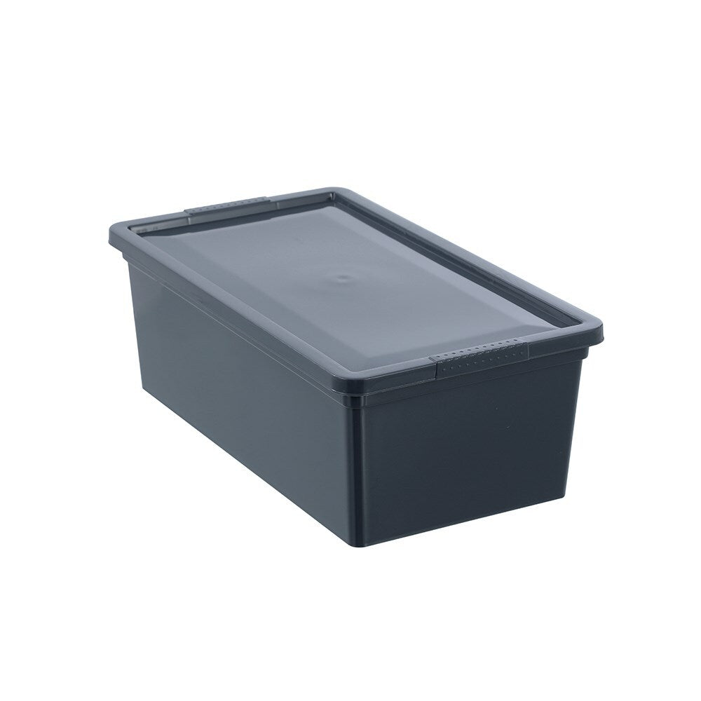 33910-boxsweden-essentials-6l-33-5cm-stackable-tub-w-lid-assorted