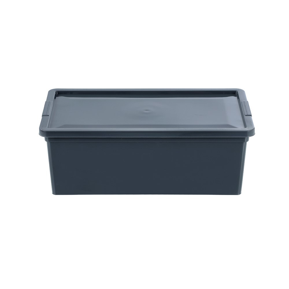 33910-boxsweden-essentials-6l-33-5cm-stackable-tub-w-lid-assorted