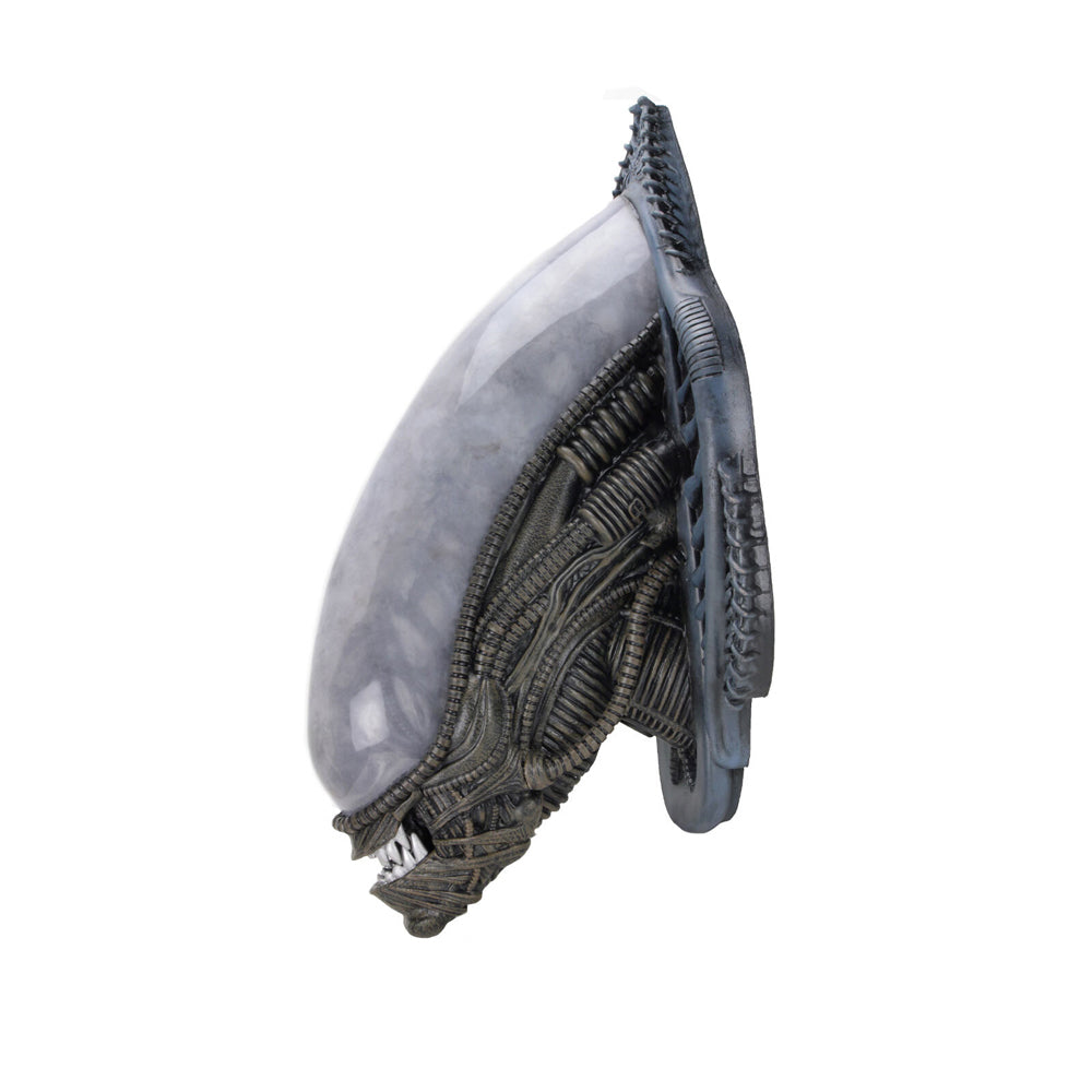 51691-neca-79cm-aliens-xenomorph-bust-foam-replica-wall-mounted-decor-14