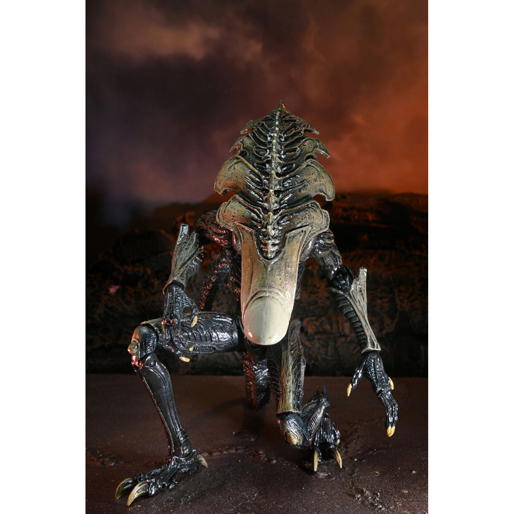 51719-neca-alien-vs-predator-chrysalis-alien-7-scale-action-figure-toy-17