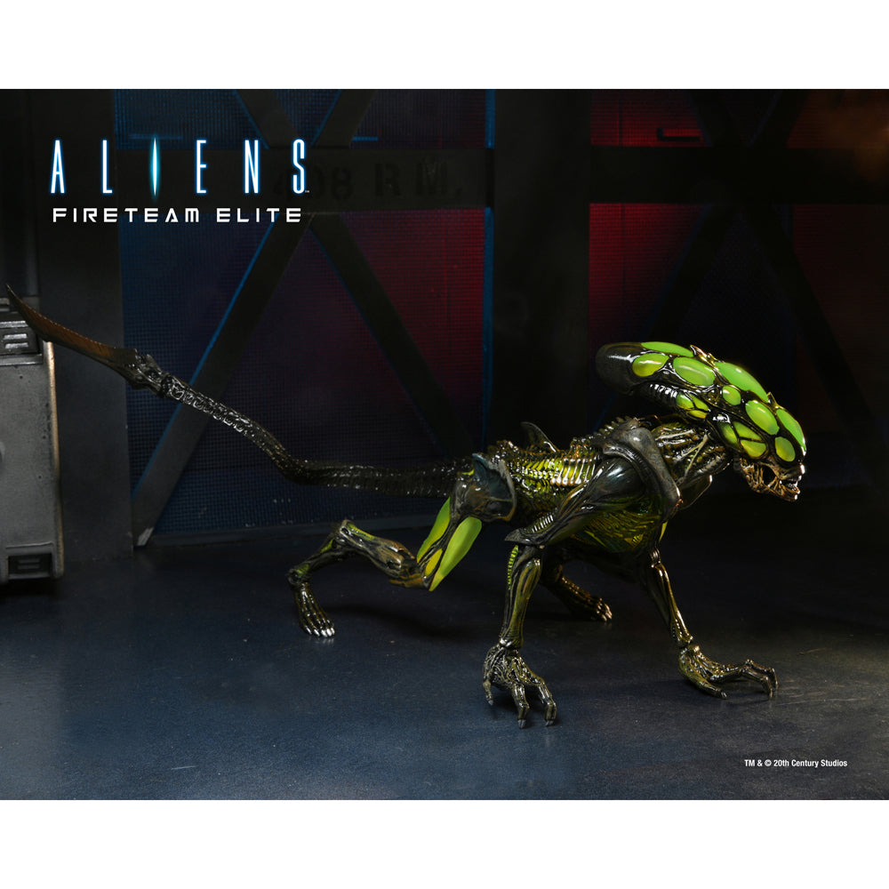 51721-neca-aliens-fireteam-elite-burster-7-scale-action-figure-toy-17