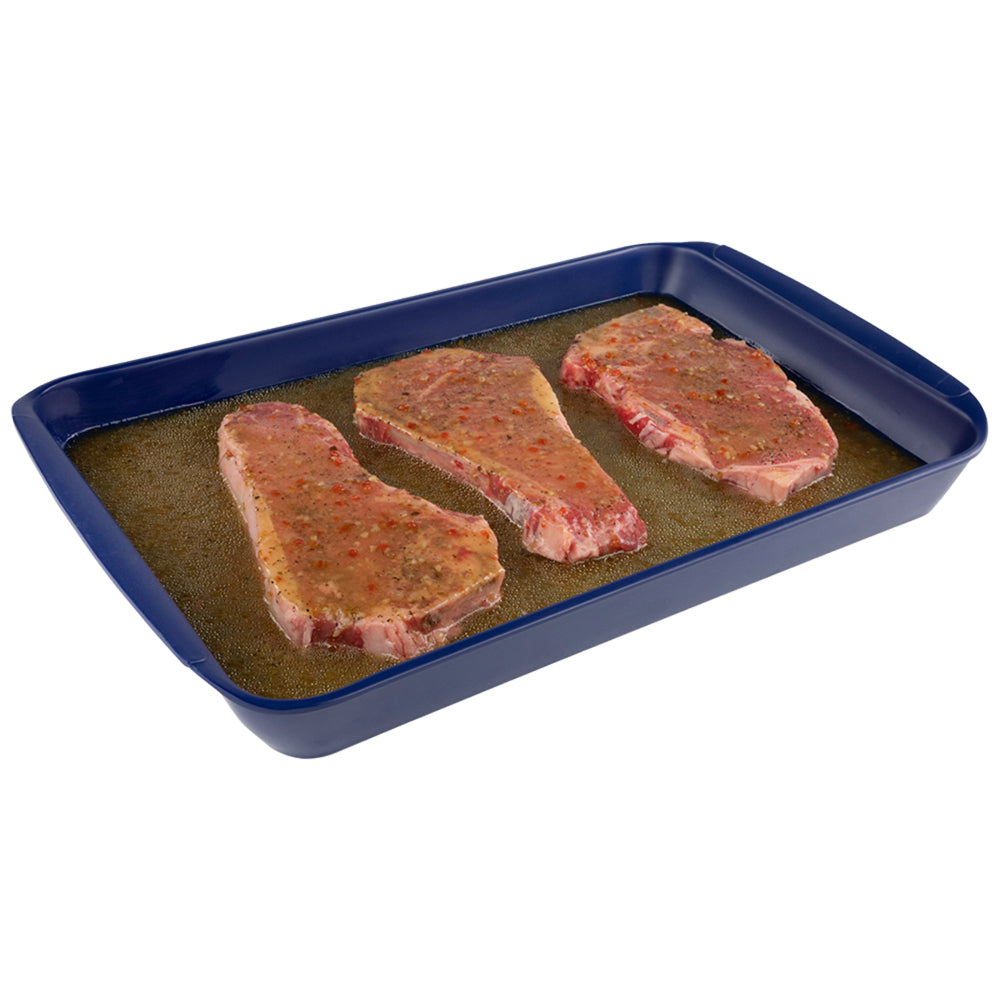 4899-2-2pc-tovolo-melamine-large-marinade-tray-set-27x43cm-blue-white