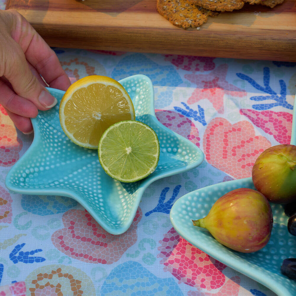 16csl-annabel-trends-ceramic-starfish-dish-22cm-large-aqua