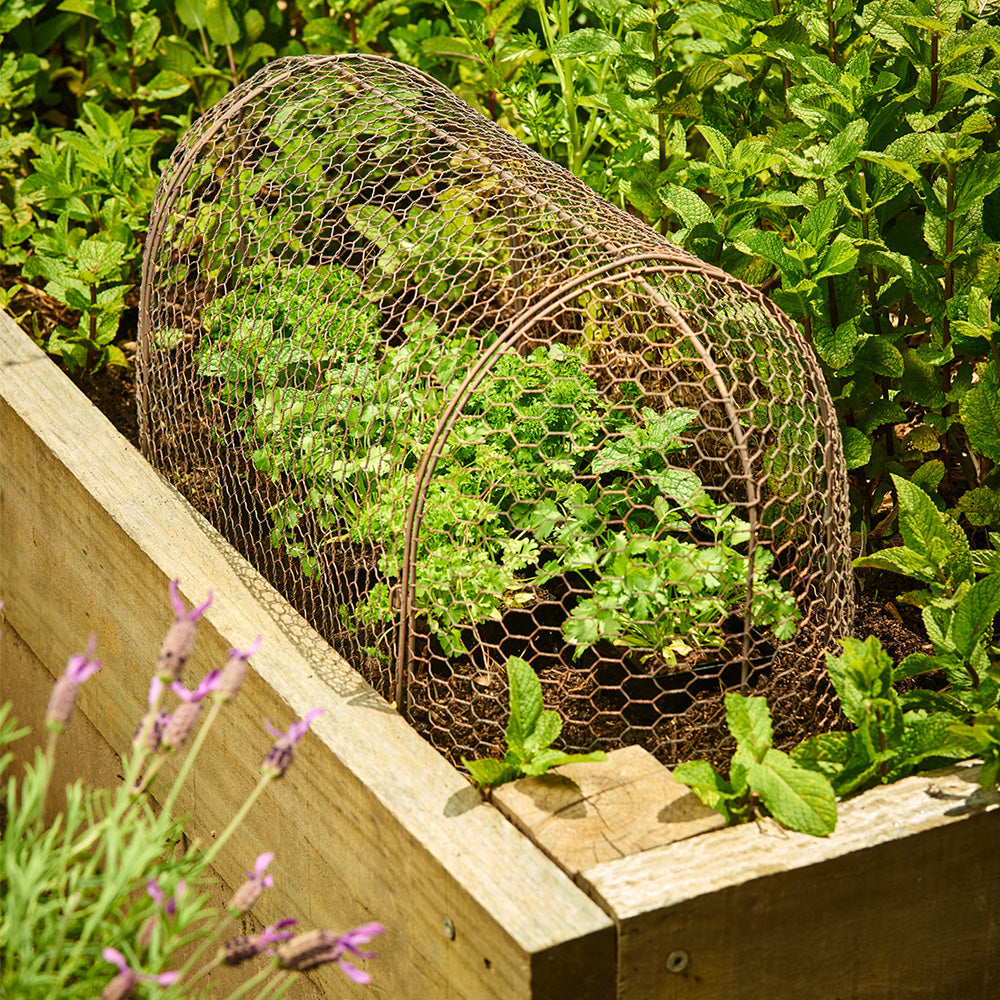 15266-3pc-cloche-45-30cm-metal-tunnel-set-garden-seedling-guard