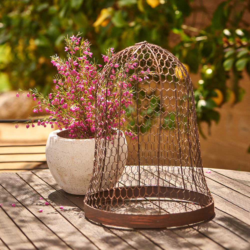 15297-round-metal-44cm-cloche-outdoor-garden-plant-protector-brown